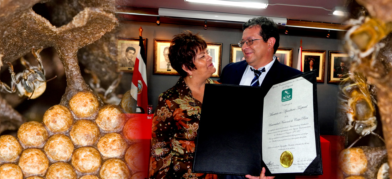 Estamos en Evaluación para la III Acreditación ACAP